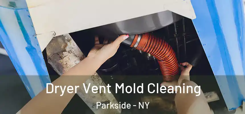 Dryer Vent Mold Cleaning Parkside - NY
