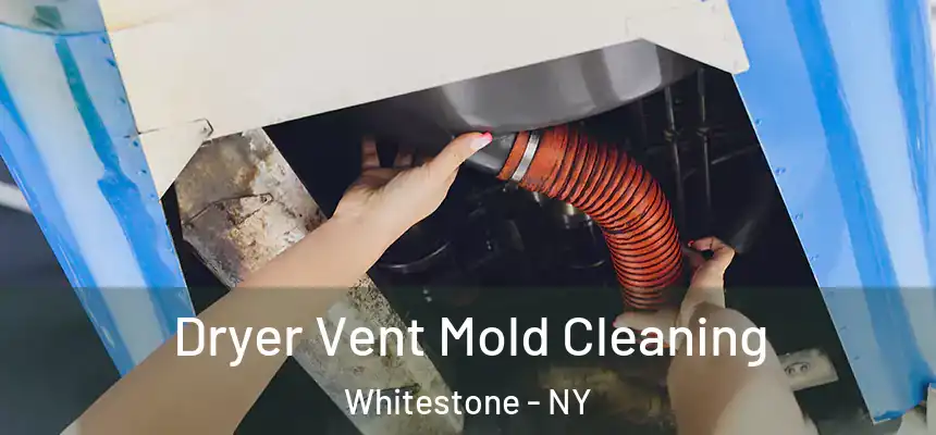  Dryer Vent Mold Cleaning Whitestone - NY