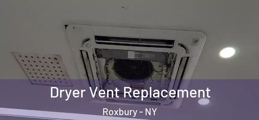 Dryer Vent Replacement Roxbury - NY
