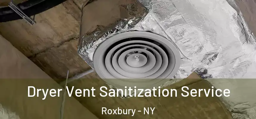  Dryer Vent Sanitization Service Roxbury - NY