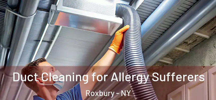  Duct Cleaning for Allergy Sufferers Roxbury - NY