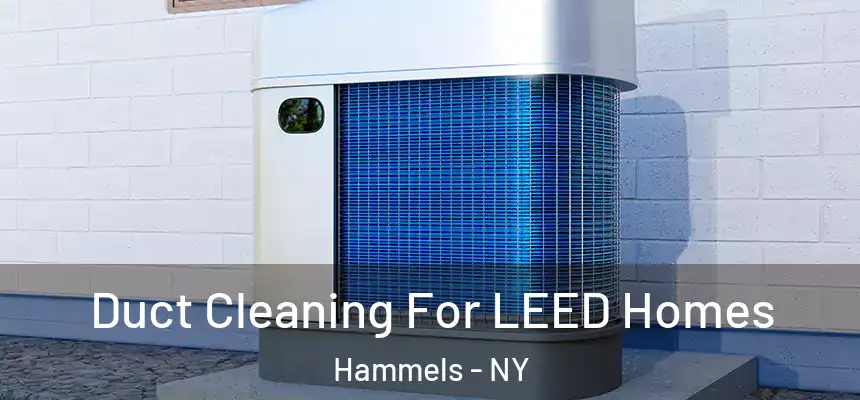  Duct Cleaning For LEED Homes Hammels - NY