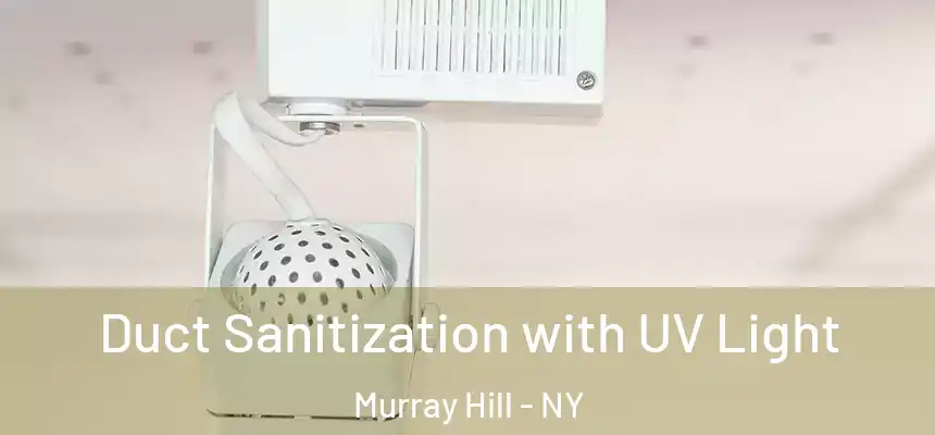  Duct Sanitization with UV Light Murray Hill - NY