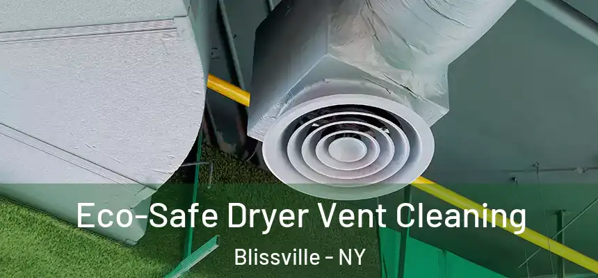  Eco-Safe Dryer Vent Cleaning Blissville - NY