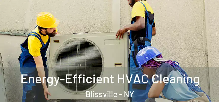 Energy-Efficient HVAC Cleaning Blissville - NY