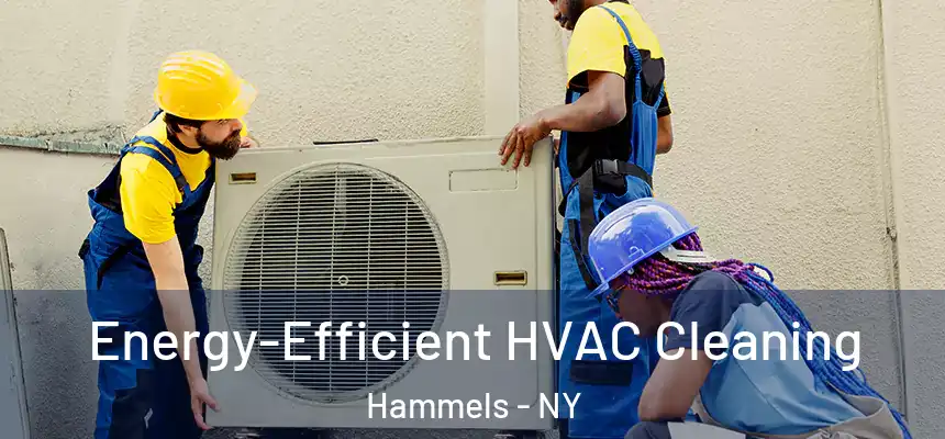  Energy-Efficient HVAC Cleaning Hammels - NY
