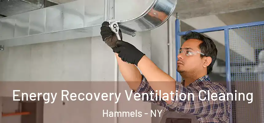 Energy Recovery Ventilation Cleaning Hammels - NY