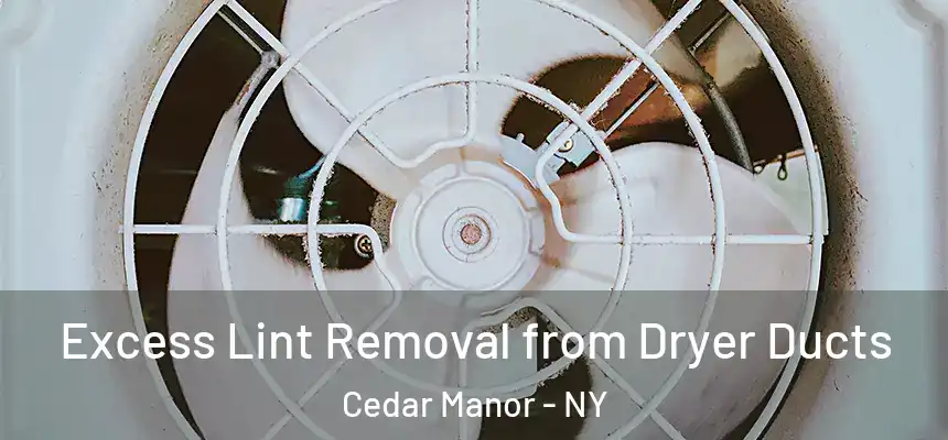  Excess Lint Removal from Dryer Ducts Cedar Manor - NY