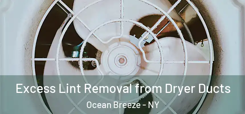  Excess Lint Removal from Dryer Ducts Ocean Breeze - NY