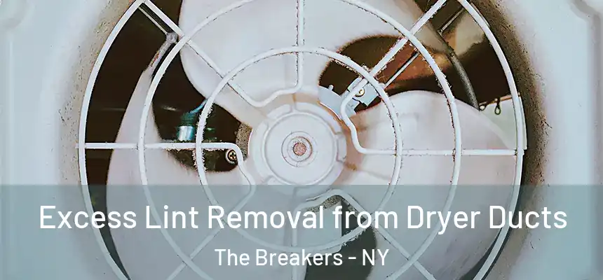 Excess Lint Removal from Dryer Ducts The Breakers - NY