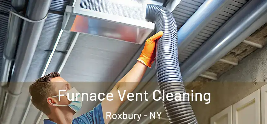 Furnace Vent Cleaning Roxbury - NY