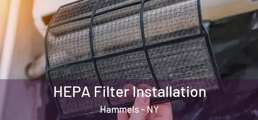 HEPA Filter Installation Hammels - NY