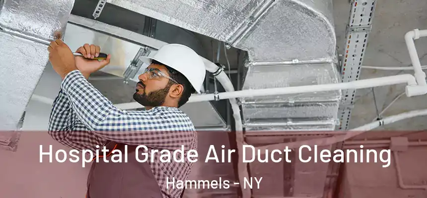  Hospital Grade Air Duct Cleaning Hammels - NY
