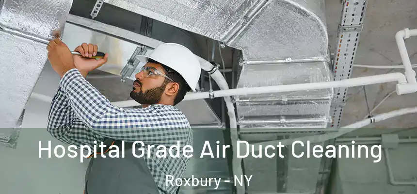 Hospital Grade Air Duct Cleaning Roxbury - NY