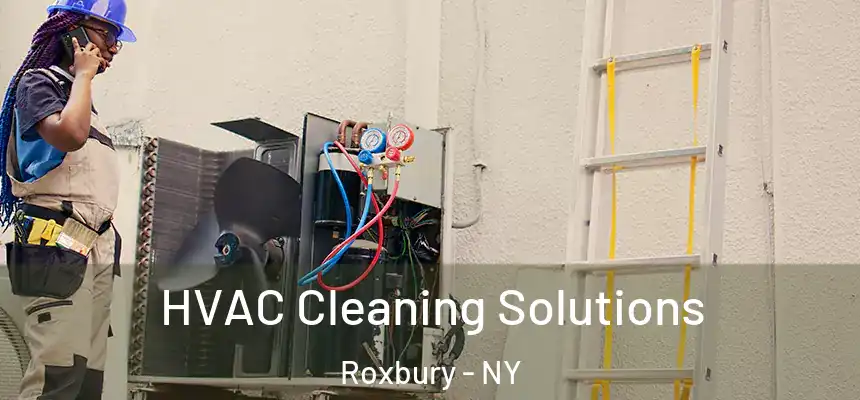 HVAC Cleaning Solutions Roxbury - NY