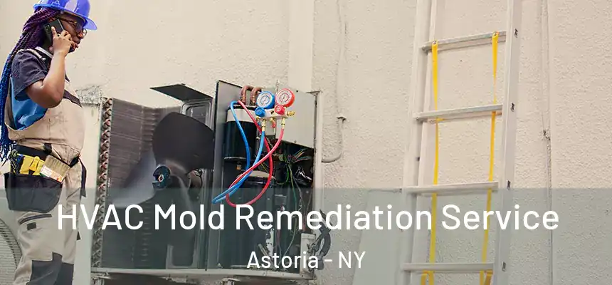  HVAC Mold Remediation Service Astoria - NY