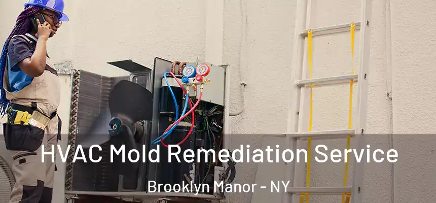  HVAC Mold Remediation Service Brooklyn Manor - NY