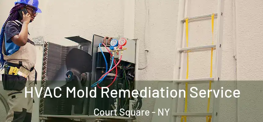 HVAC Mold Remediation Service Court Square - NY