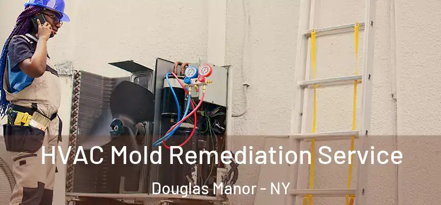  HVAC Mold Remediation Service Douglas Manor - NY