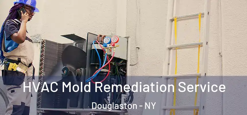  HVAC Mold Remediation Service Douglaston - NY