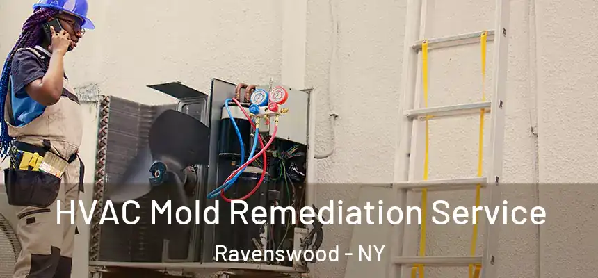  HVAC Mold Remediation Service Ravenswood - NY