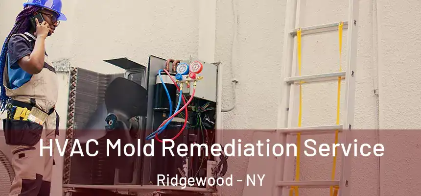 HVAC Mold Remediation Service Ridgewood - NY