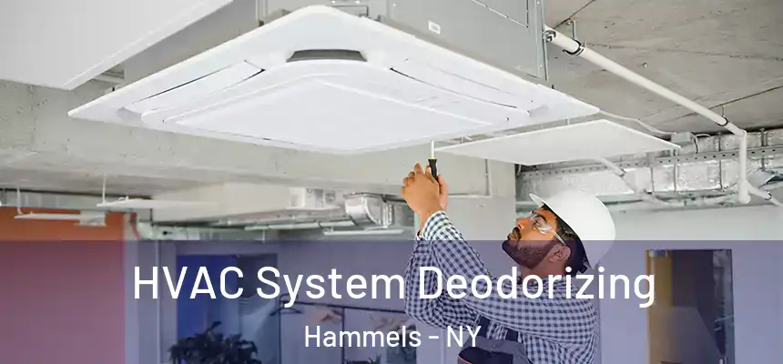  HVAC System Deodorizing Hammels - NY
