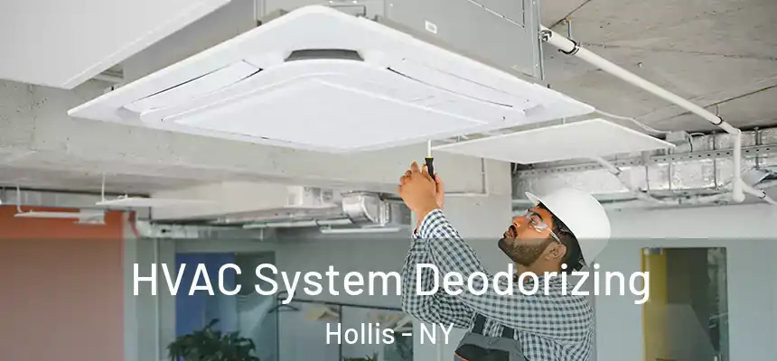 HVAC System Deodorizing Hollis - NY