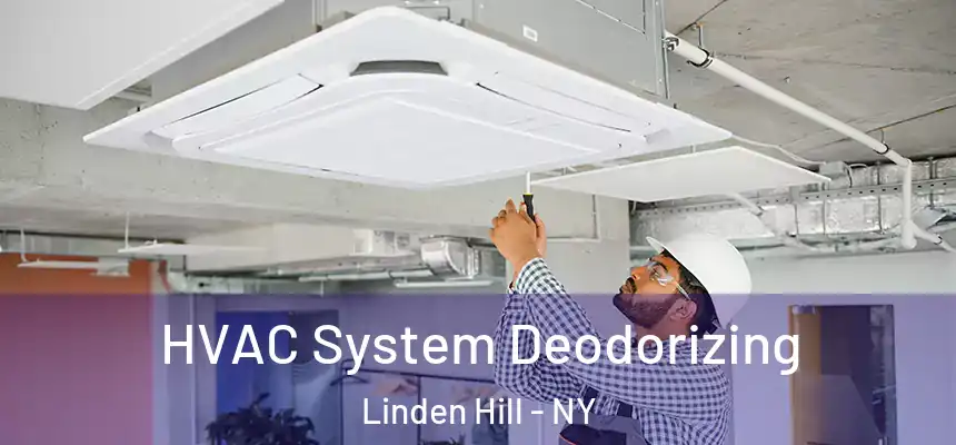 HVAC System Deodorizing Linden Hill - NY