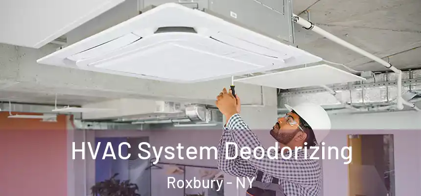 HVAC System Deodorizing Roxbury - NY