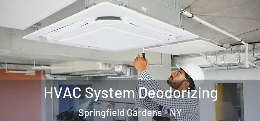 HVAC System Deodorizing Springfield Gardens - NY
