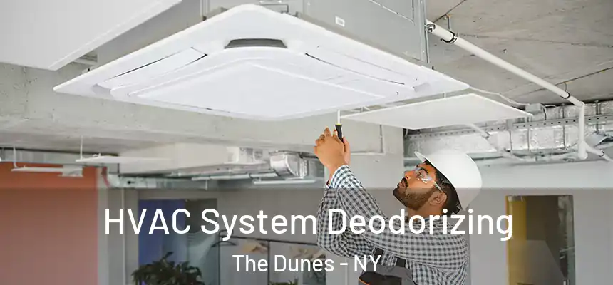 HVAC System Deodorizing The Dunes - NY
