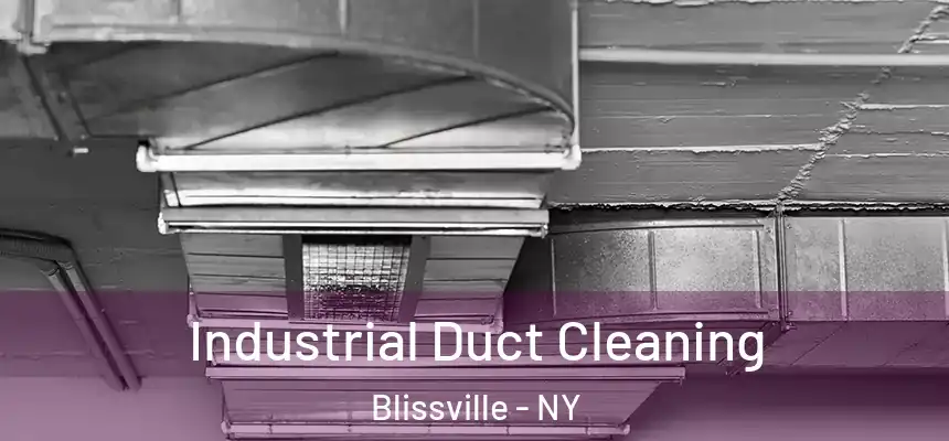  Industrial Duct Cleaning Blissville - NY