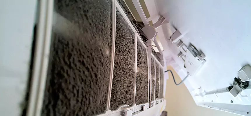 Preventive Air Duct Bacteria Removal in Queens