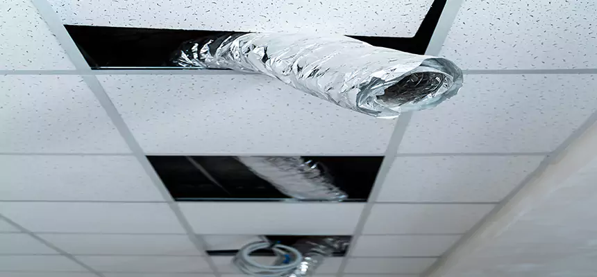 Our Air Duct Pet Hair Removal Services in Queens, NY