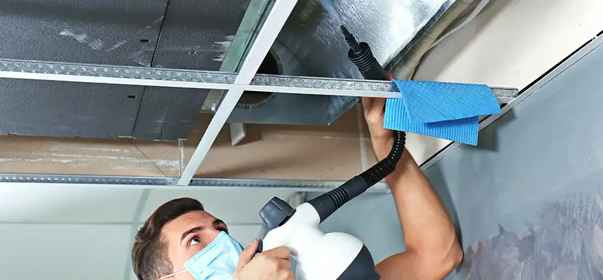Our Air Duct Rodent Removal Services in Queens, NY
