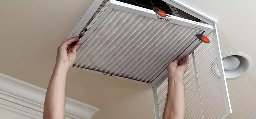 Our Insect Removal from Air Ducts Services in Queens, NY