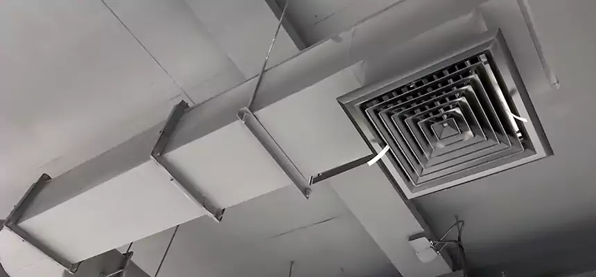 Our Pest Removal From Ducts Services in Queens, NY