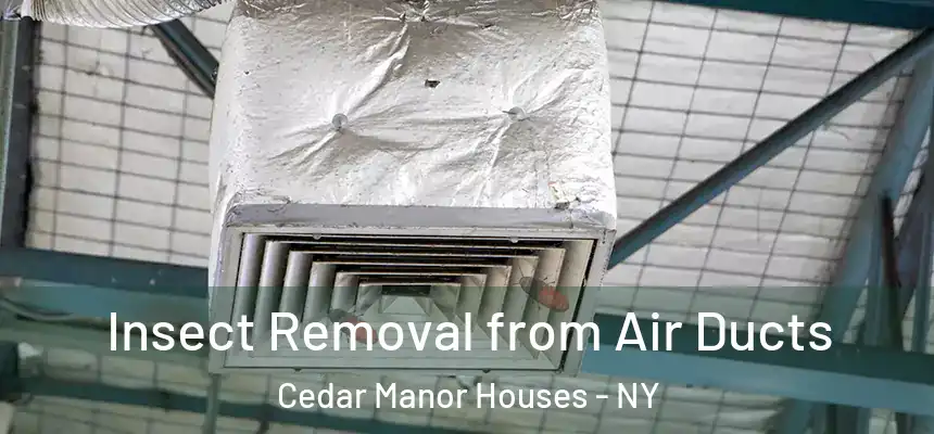  Insect Removal from Air Ducts Cedar Manor Houses - NY