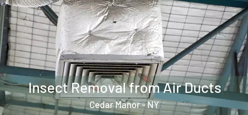 Insect Removal from Air Ducts Cedar Manor - NY