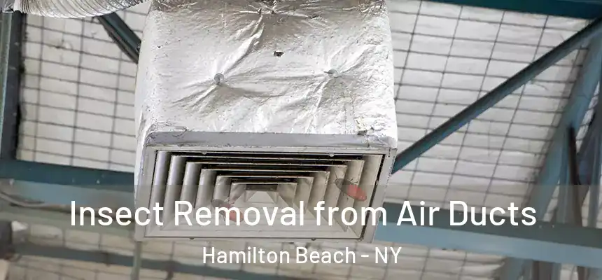  Insect Removal from Air Ducts Hamilton Beach - NY