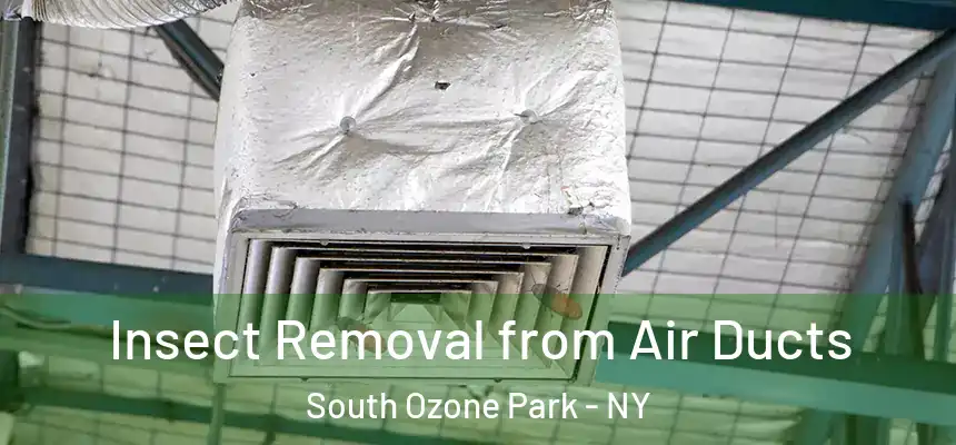  Insect Removal from Air Ducts South Ozone Park - NY