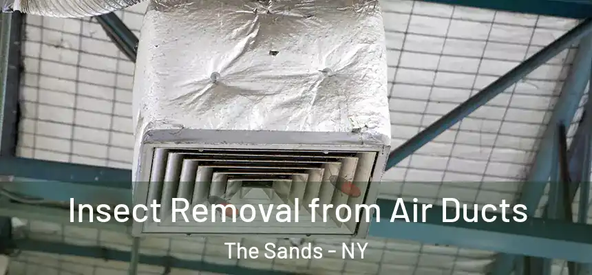  Insect Removal from Air Ducts The Sands - NY