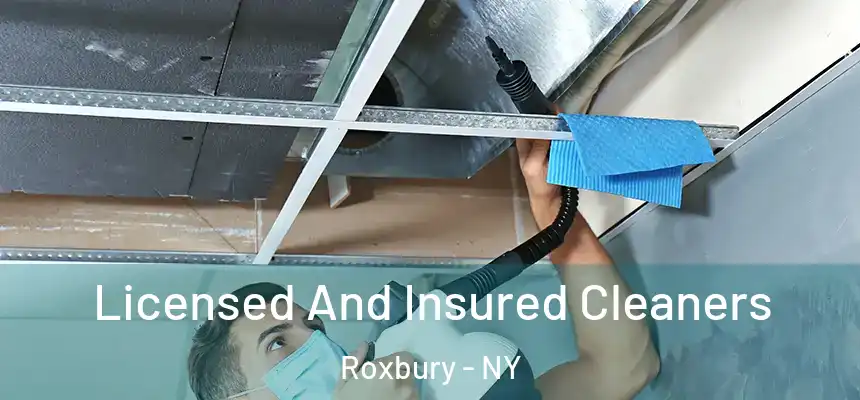  Licensed And Insured Cleaners Roxbury - NY