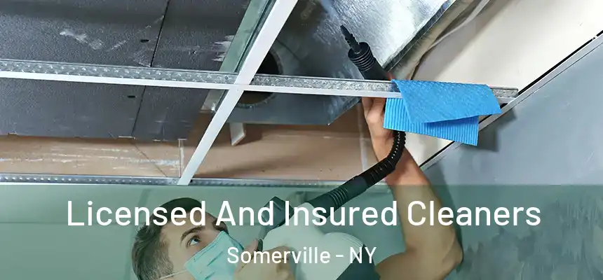  Licensed And Insured Cleaners Somerville - NY