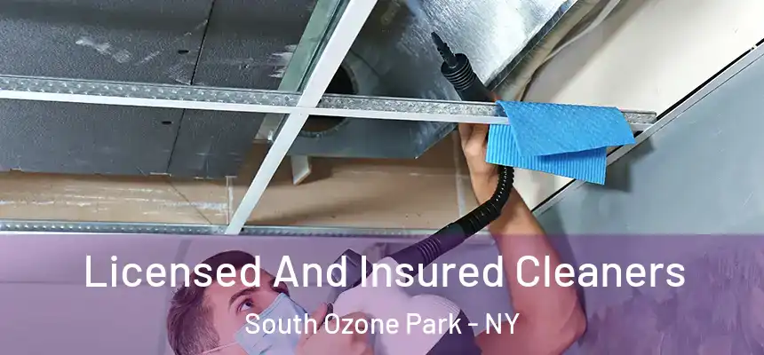  Licensed And Insured Cleaners South Ozone Park - NY