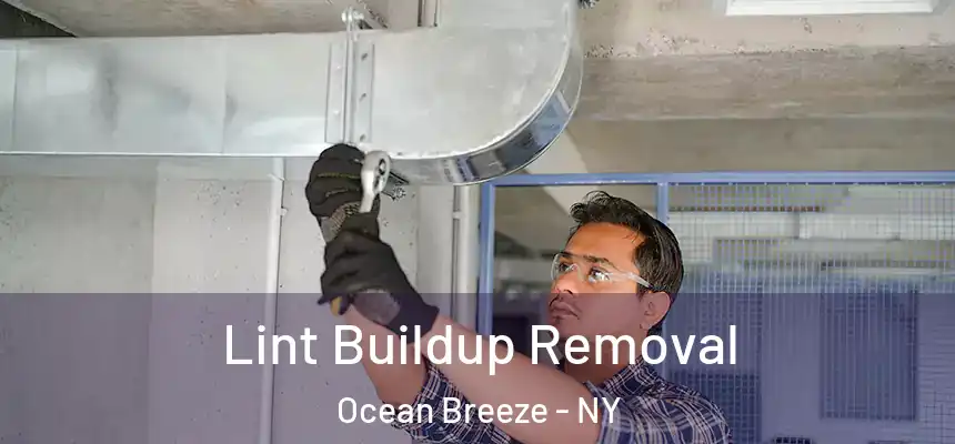  Lint Buildup Removal Ocean Breeze - NY