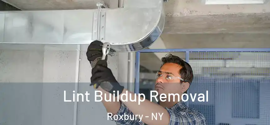 Lint Buildup Removal Roxbury - NY