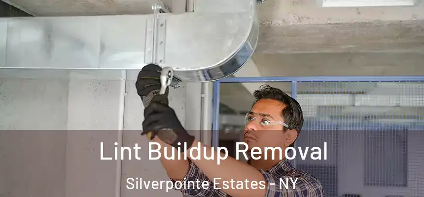 Lint Buildup Removal Silverpointe Estates - NY