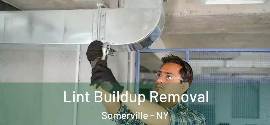  Lint Buildup Removal Somerville - NY